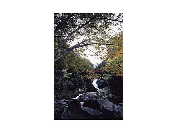 千丈渓探勝自然歩道コース