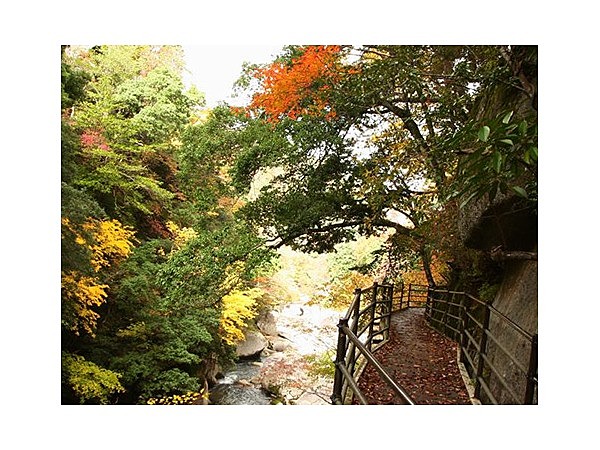 中国自然歩道鬼の舌震コース