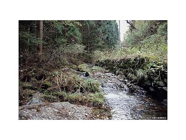 樋口沢ゴトランド紀層