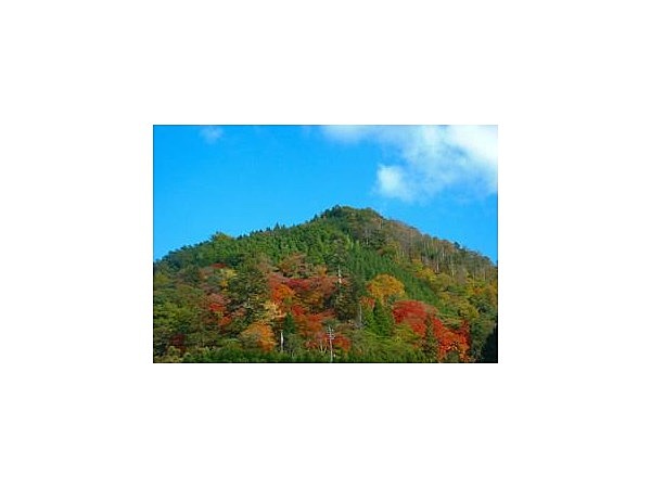 天神山／つつじ