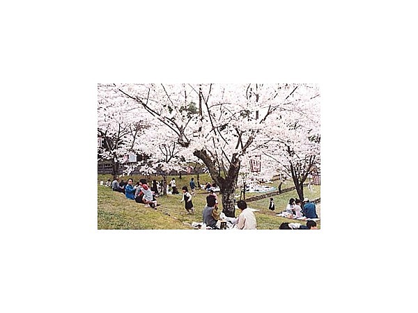 愛宕山公園（島根県）