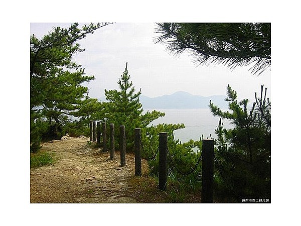 大多府島自然研究路