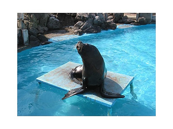 渋川マリン水族館(玉野海洋博物館)