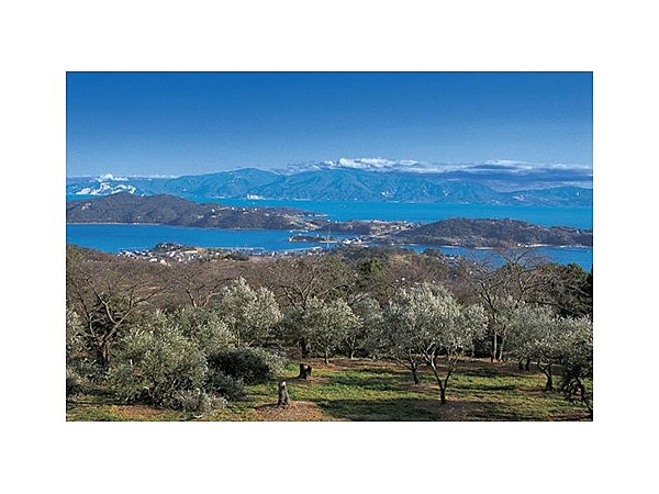 牛窓オリーブ園