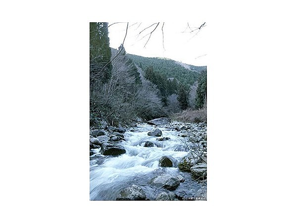 白賀渓谷