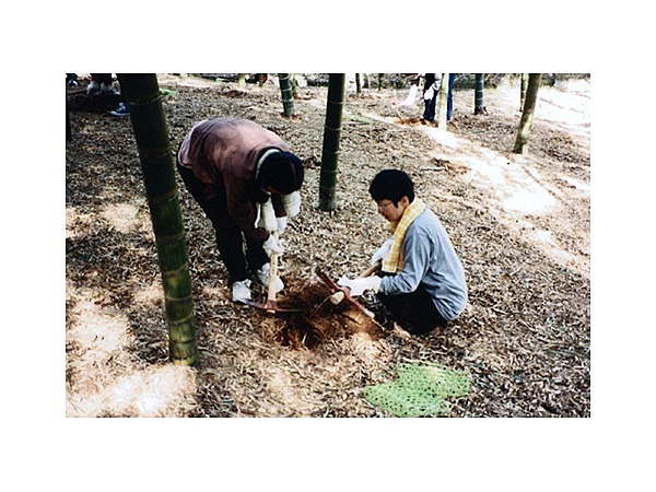 真備町観光たけのこ園