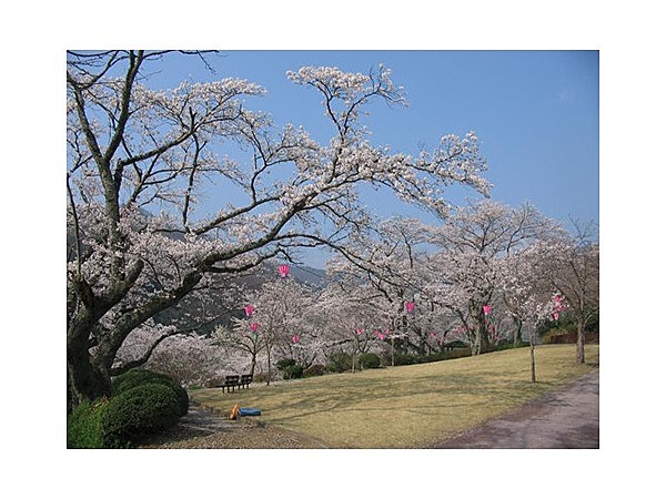 城山公園（岡山県）