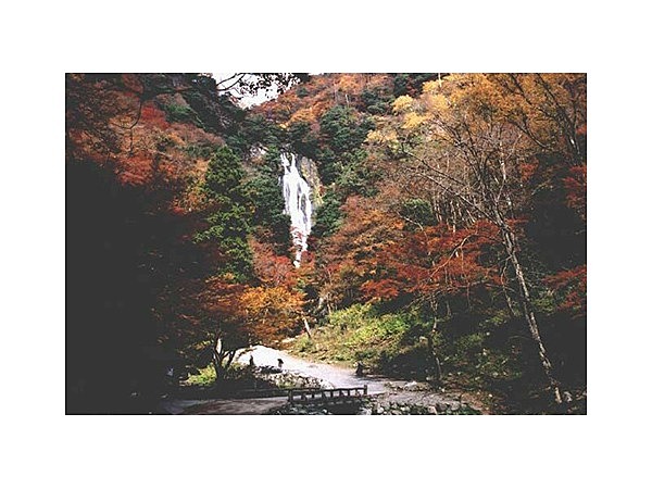 神庭の滝の紅葉