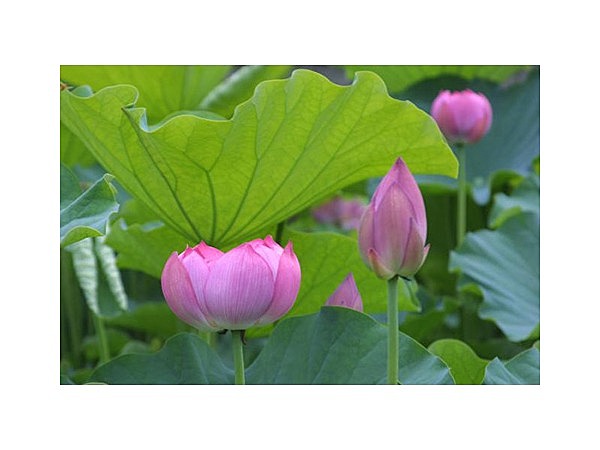 宮地やすらぎの里