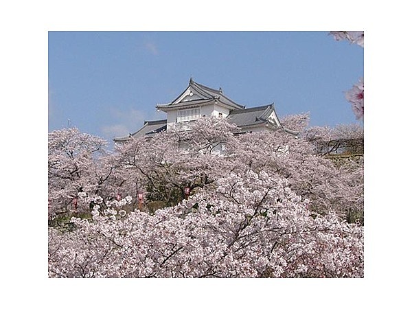 津山城（鶴山公園）