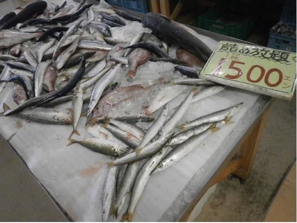 道の駅笠岡ベイファーム レンタサイクル