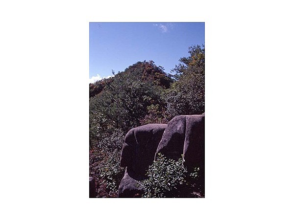 日本ピラミッド葦嶽山