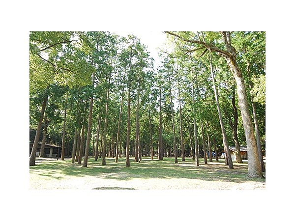 宮島包ヶ浦自然公園キャンプ場