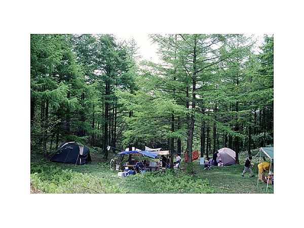 道後山キャンプ場