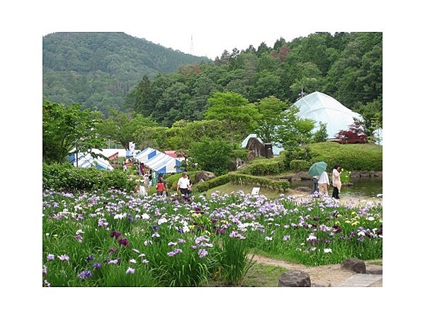 矢野温泉公園四季の里