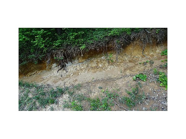 船佐山内逆断層帯