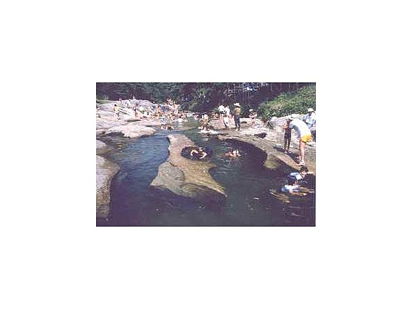 プレイパーク蛇喰キャンプ場