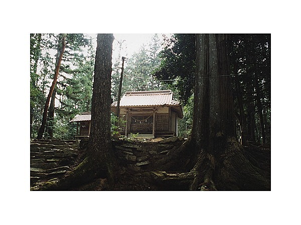 宍戸大明神社叢