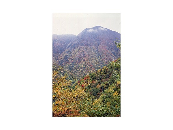 愛染山