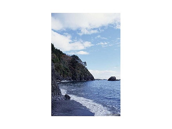 館ヶ崎角岩岩脈