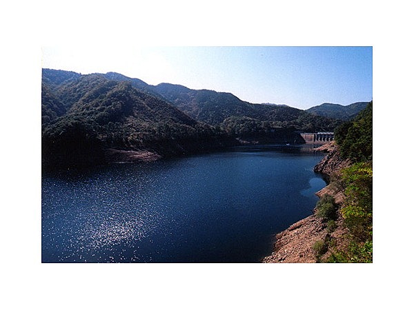 神之瀬川及び神野瀬湖