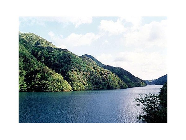 徳地・森林セラピー基地