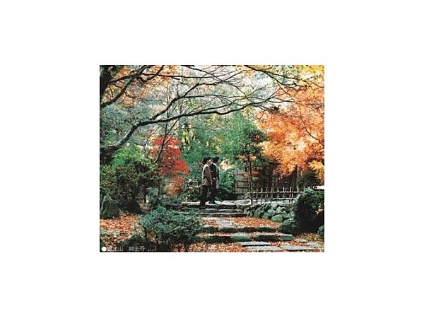 華山(神上寺)/かえで