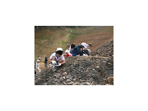 美祢市化石採集場／化石採集体験