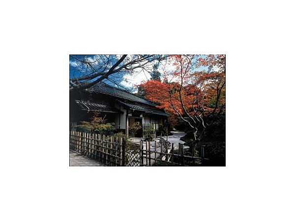 東行庵／もみじ