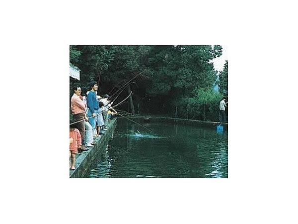 美祢市養鱒場つり堀