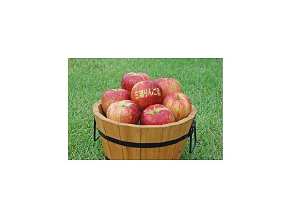 三浦りんご園／りんご