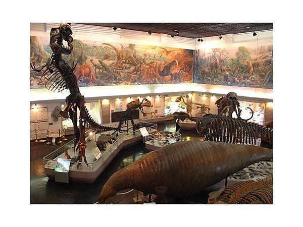 滝川市美術自然史館