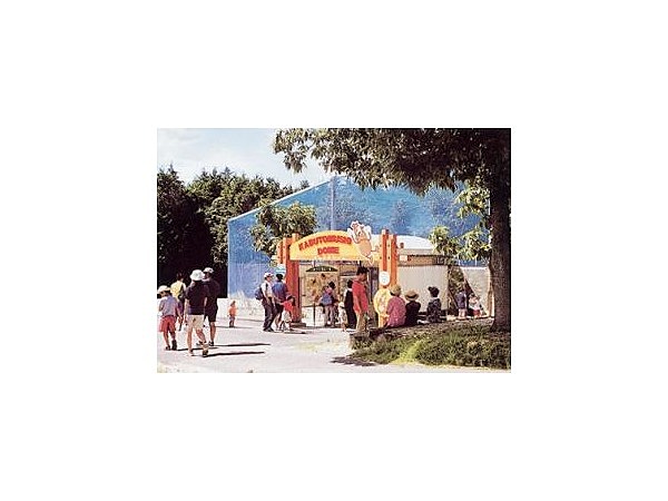 むつみ昆虫王国