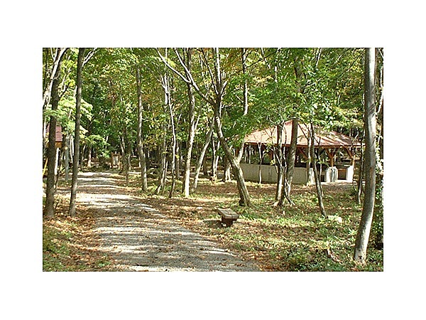 県民の森キャンプ場(岩手県)