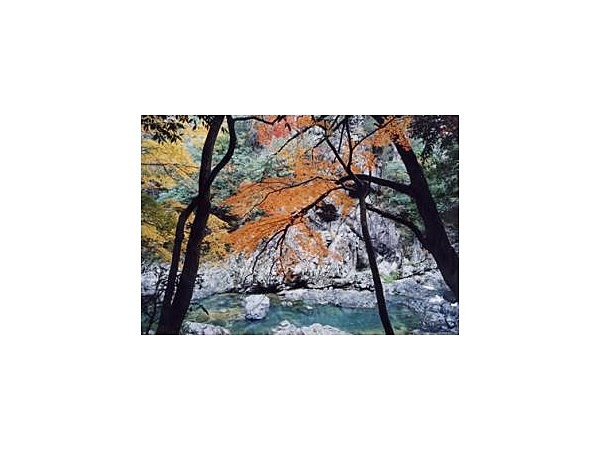 長門峡／もみじ