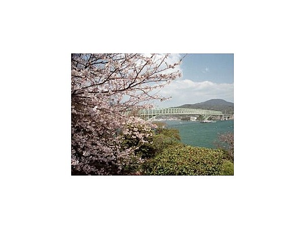 瀬戸公園/さくら