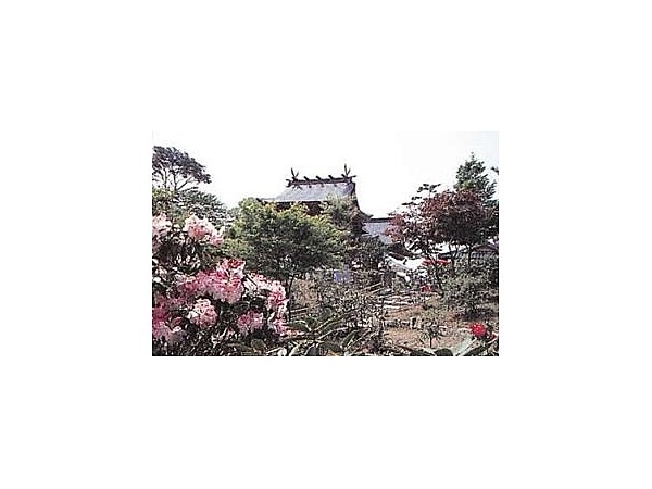 シャクナゲ苑／しゃくなげ