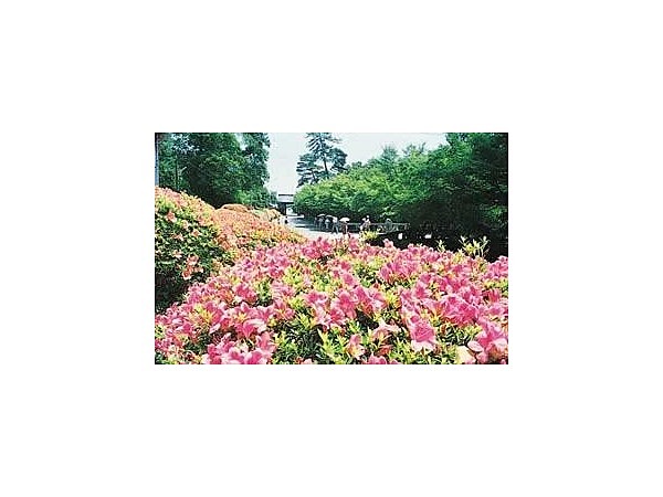 毛利氏庭園／つつじ