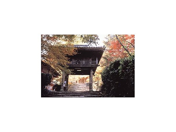 龍蔵寺／もみじ・イチョウ