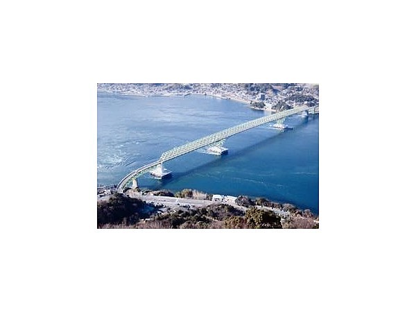 周防大島町大島遊魚