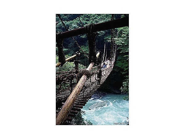 祖谷のかずら橋