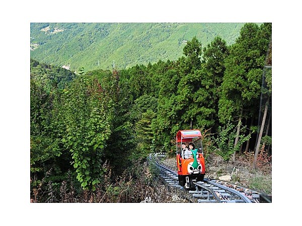奥祖谷観光周遊モノレール