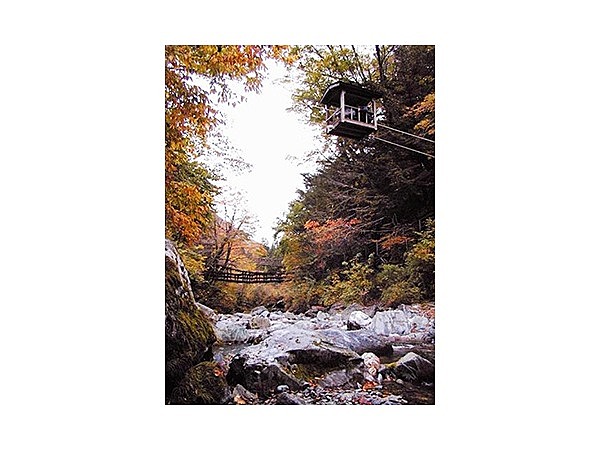 奥祖谷二重かずら橋