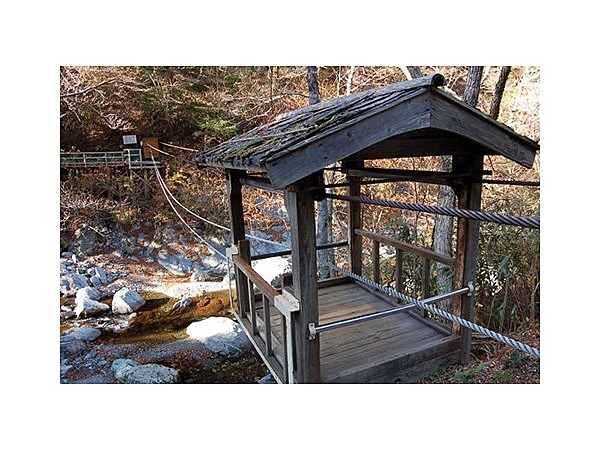 奥祖谷二重かずら橋キャンプ場