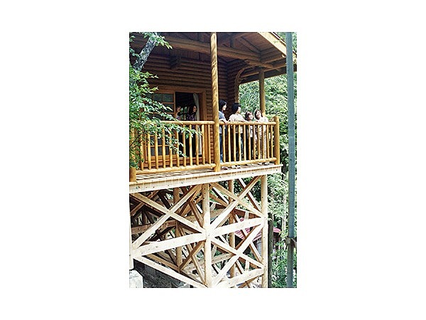 祖谷渓キャンプ村