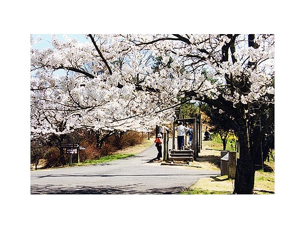 みろく自然公園