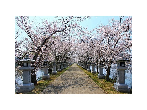 竜桜公園