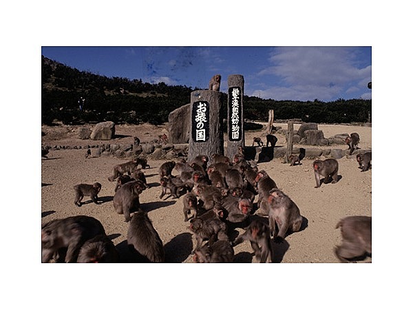 銚子渓　お猿の国