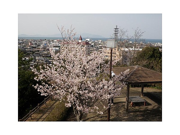 前山公園展望台