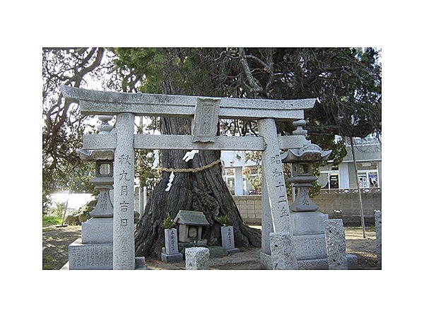 若宮神社のハク